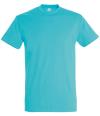 11500 Imperial Heavy T-Shirt Atoll colour image